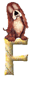 Gif F