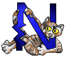 Gif N
