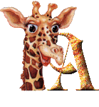 Gif A
