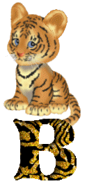 Gif B