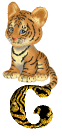 Gif C