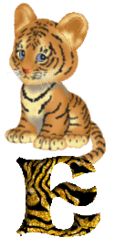 Gif E