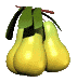 Gif 60