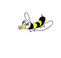 Gif 42