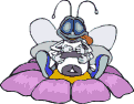 Gif 43