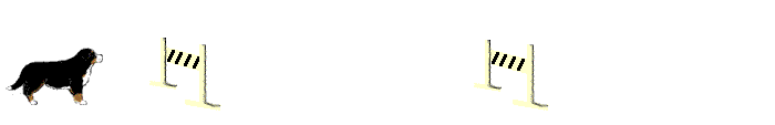 Gif 04
