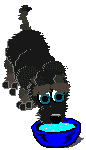 Gif 199