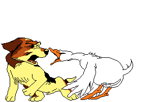 Gif 208