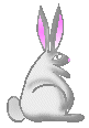 Gif 211