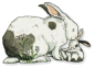 Gif 32