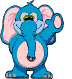 Gif 41