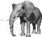 Gif 43