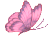 Gif 201