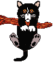 Gif 211