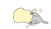 Gif 95