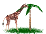 Gif 02