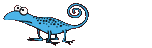 Gif 13