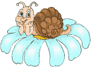 Gif 09