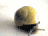 Gif 11