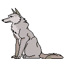 Gif 07