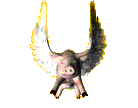Gif 08