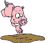 Gif 38