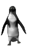 Gif 34