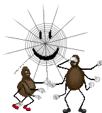 Gif 24