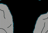 Gif 50
