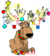 Gif 09