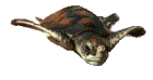 Gif 60