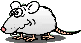Gif 51