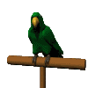 Gif 12