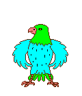 Gif 202