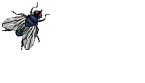 Gif 74