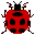 Gif 87