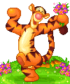 Gif 97