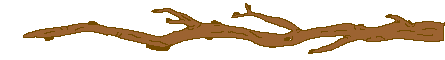 Gif 40