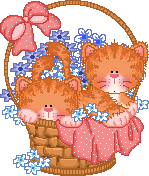 Gif 82