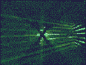 Gif 51