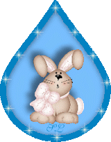 Gif 56