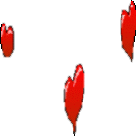 Gif 27