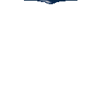 Gif 02