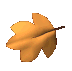Gif 15