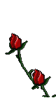 Gif 08