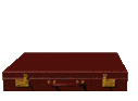 Gif 07