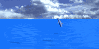Gif 88