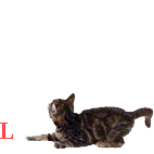 Gif 184