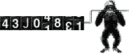 Gif 03