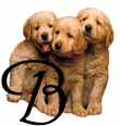 Gif B